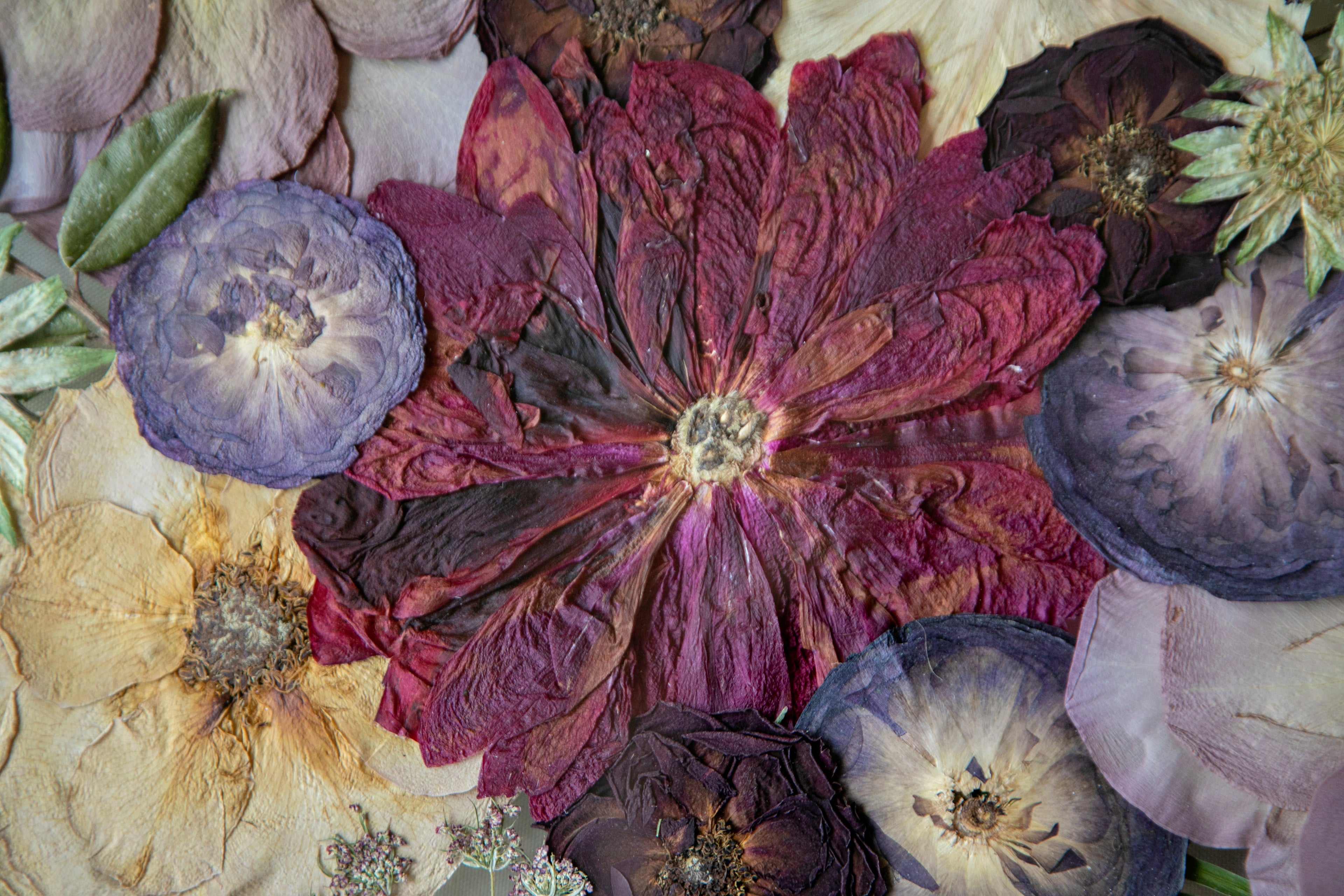 Pressed Floral Arrangement | Step 1: Deposit Payment
