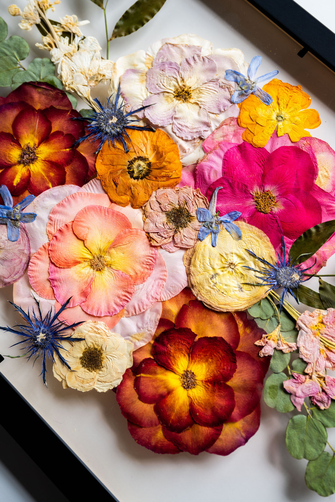 Pressed Floral Arrangement | Step 1: Deposit Payment